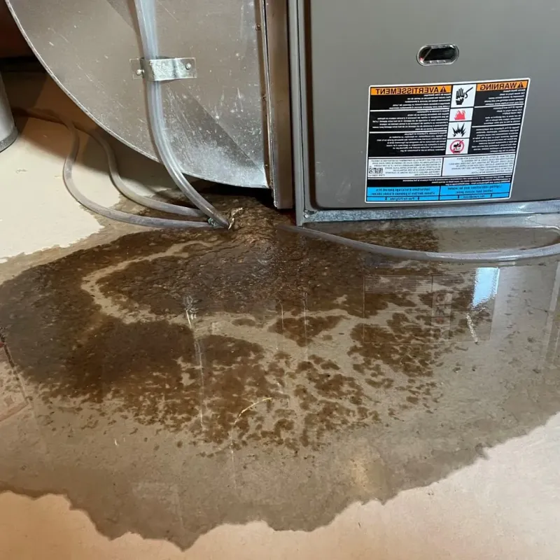 Pipe Burst and Leak Restoration in Saint Jo, TX