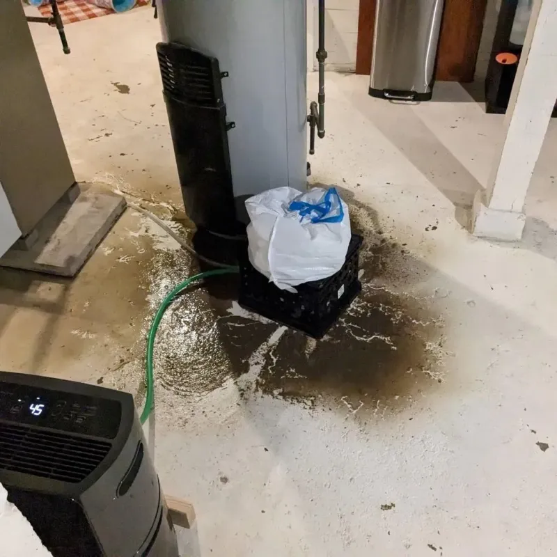 Sewage Backup Cleanup Service in Saint Jo, TX
